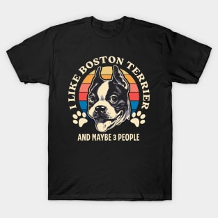 I Like Boston Terrier And Maybe 3 People T-Shirt